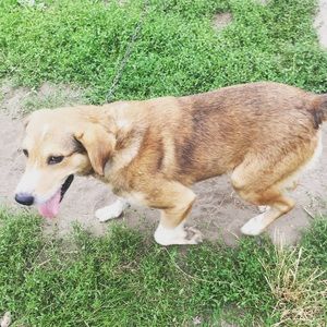 Meet your Posher, Catarina